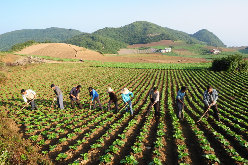 Sinofert posted a 60.8 per cent year-on-year net profit fall to 138 million yuan (HK$173.5 million) for the year’s first six months. Photo: Xinhua