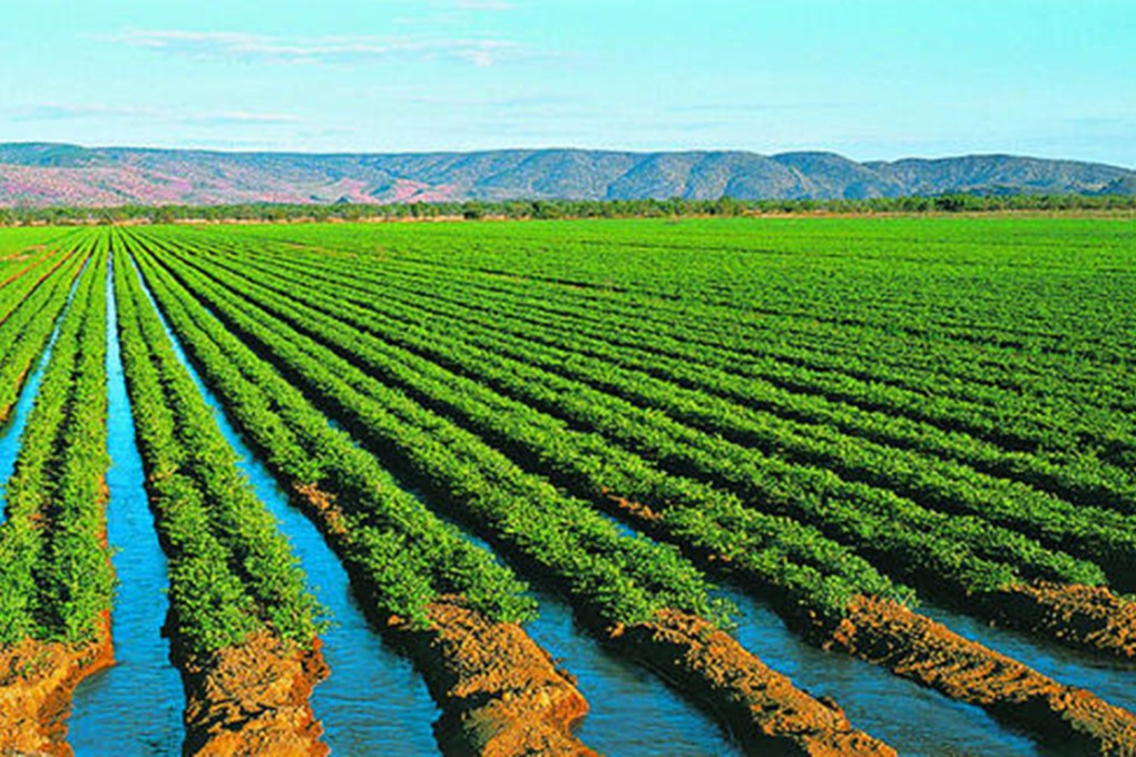 The government says crops grown in northern Australia could help feed Asia. Photo: Western Australian Agriculture Authority