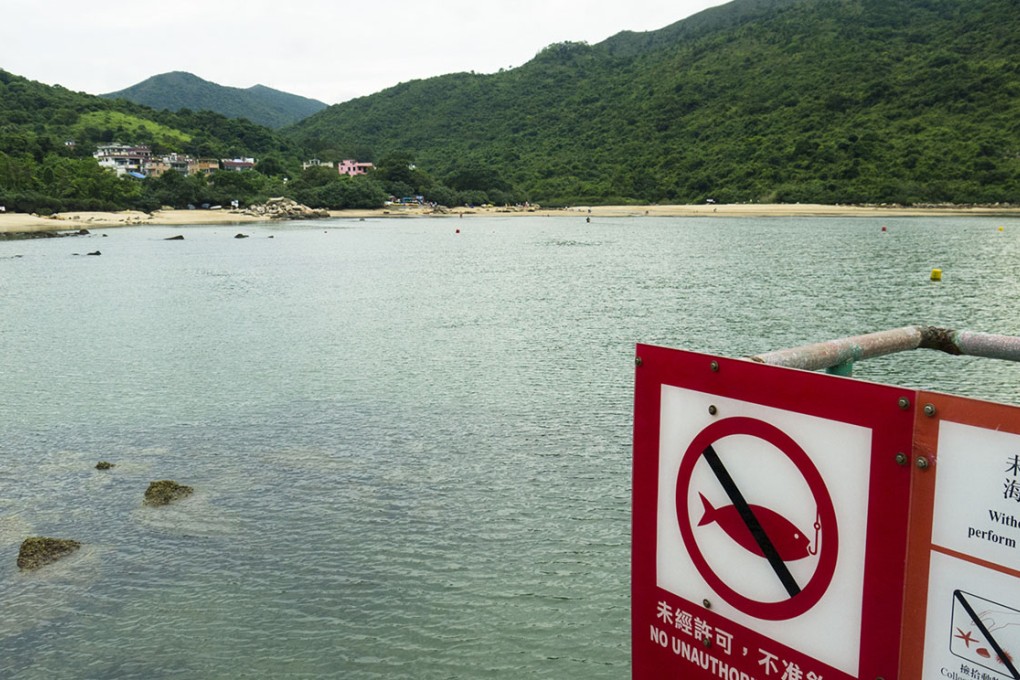 Department failing to stop pollution of pristine Hoi Ha Wan