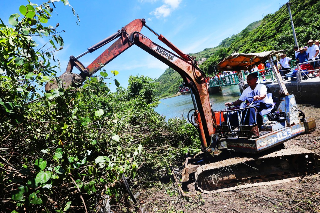 A villager crushes trees as part of a protest against a potential zoning designation for part of north Lantau Island. Photo: David Wong