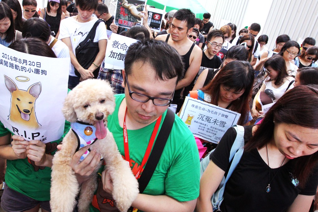 Animal welfare activists protest outside government headquarters in Admiralty over the death of a dog on the MTR track. Photo: Felix Wong