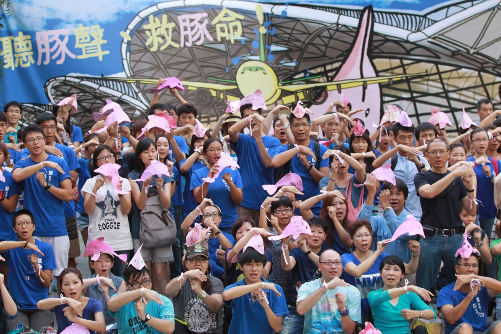 Activists campaigning for the protection of the Chinese white dolphins protest last month against plans for the third runway. Photo: Edward Wong