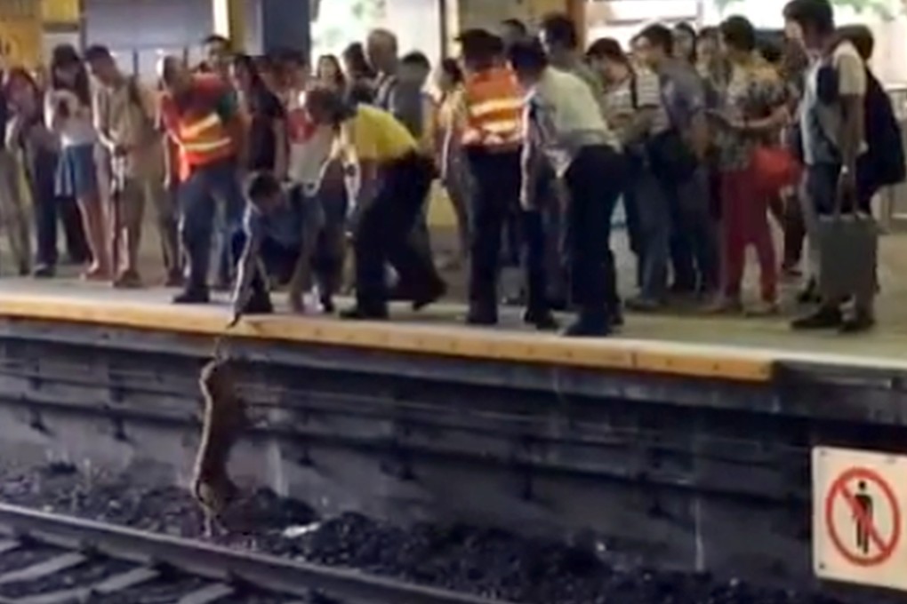 The whole episode is a reflection of how gullible people can be swept along by a tide of emotion. Photo: SCMP