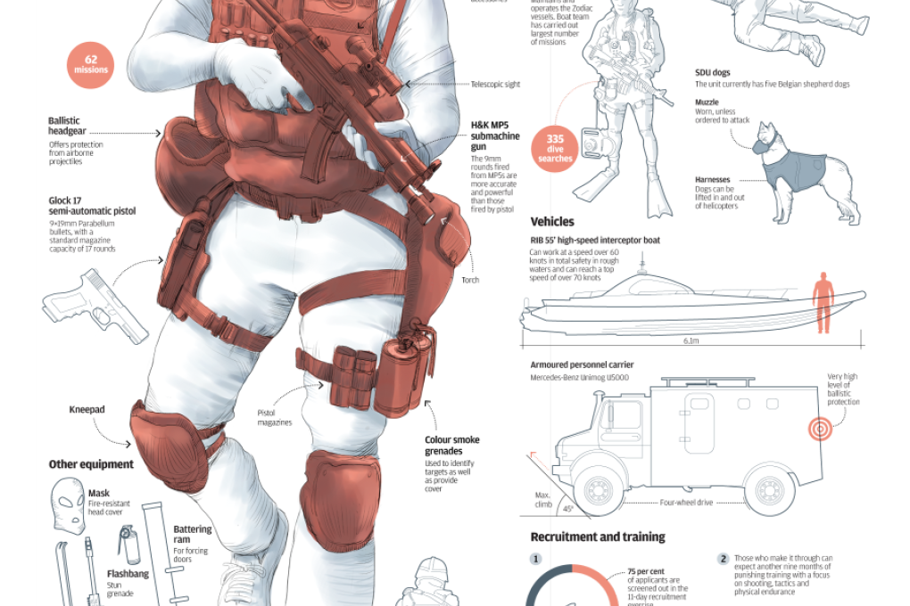 INFOGRAPHIC: Flying tigers
