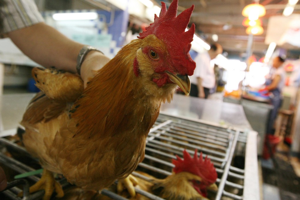 The import ban came after a bird-flu scare. Photo: Sam Tsang