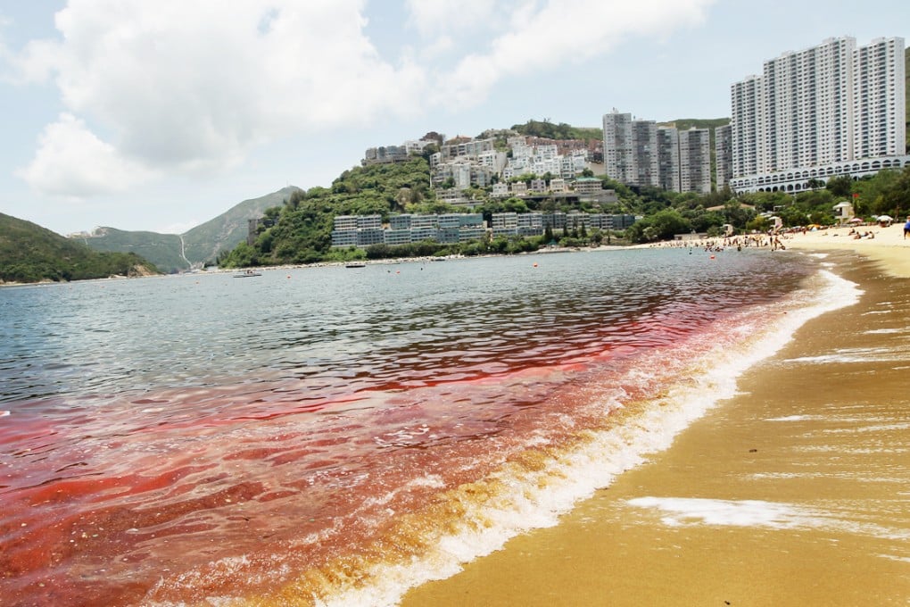 An algal bloom turns water in Repulse Bay red. Photo: Edward Wong