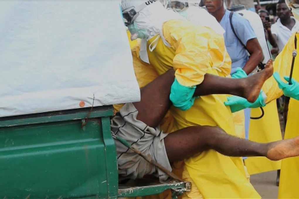 An Ebola patient who fled a hospital in Monrovia, apparently in search of food, is pushed back into an ambulance. Photo: Reuters