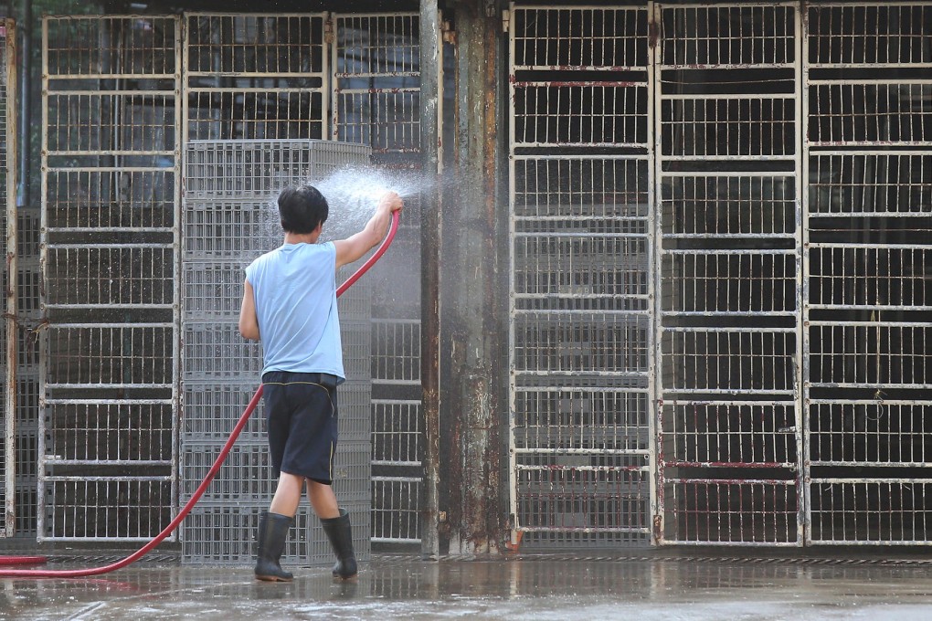 A worker cleans cages at the Cheung Sha Wan wholesale market in readiness for the return of mainland chickens. Photo: K.Y. Cheng