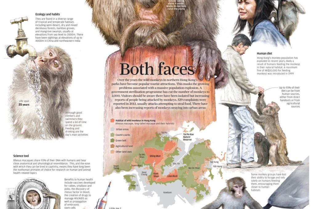 INFOGRAPHIC: Both faces