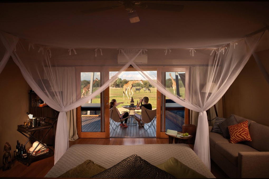 Hot spots: Zoofari Lodge, Dubbo