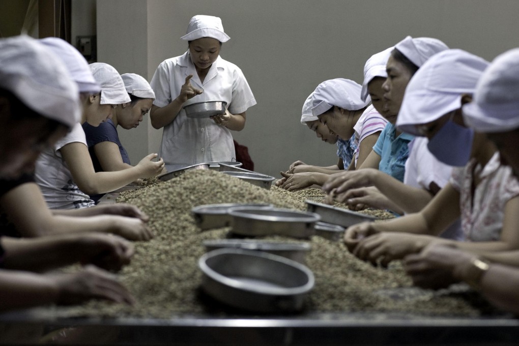 Workers at the Highlands Coffee processing plant in Ho Chi Minh City, where stockpiles fell 60,000 tonnes in August. Photo: Bloomberg