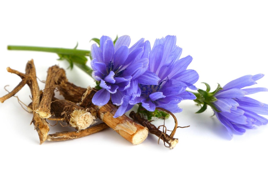 Spice market: chicory root