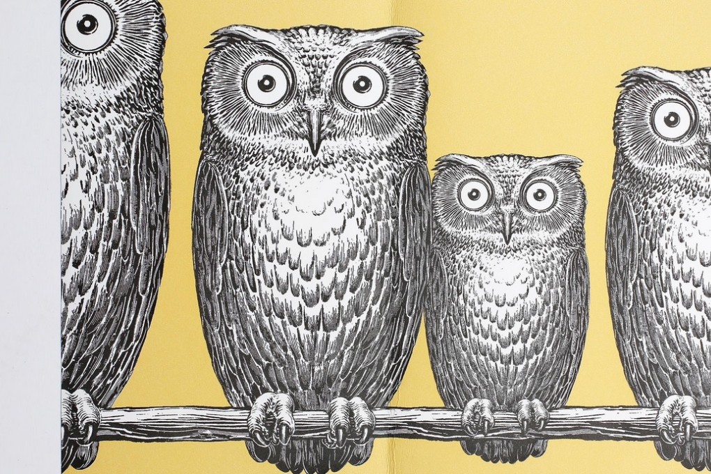 Objects of desire: Owl
