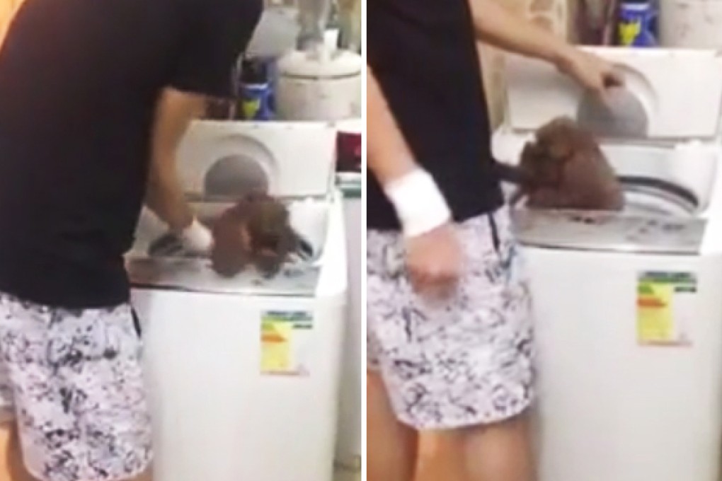 Images from the video show the dog trying to get back out. Photo: SCMP Pictures