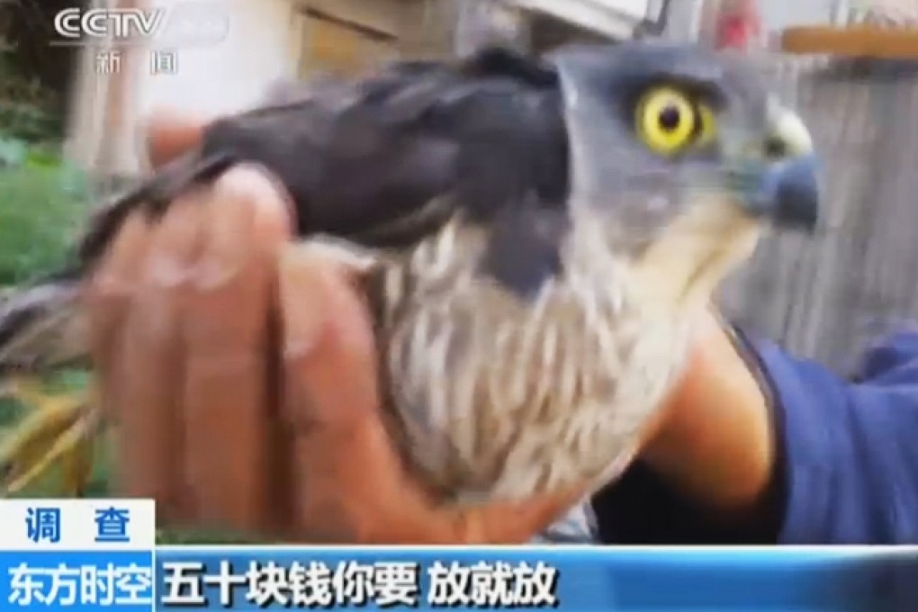 Traders in markets in Tianjin fed birds diets designed to make them grow fat in a short period. They would smother the birds, then freeze and sell them to restaurants. Photo: SCMP Pictures