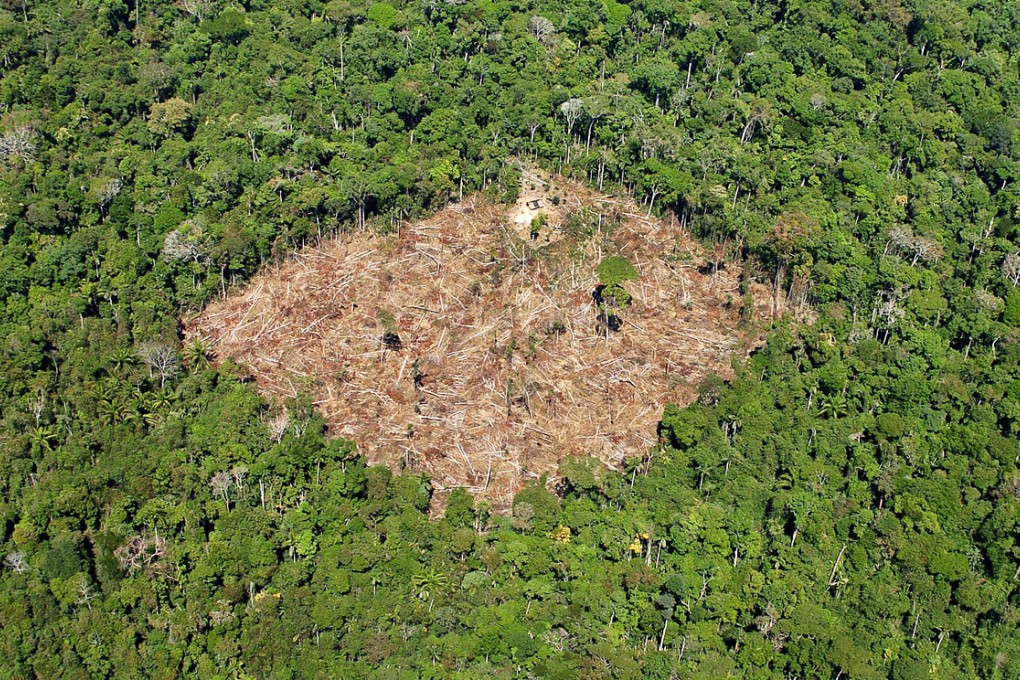 Brazil wants to slow the pace of deforestation, such as this in Para state, but says it will not endorse an international pledge. Photo: AFP