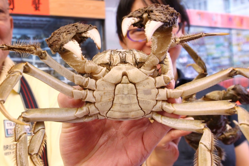 Hairy crab prices have dropped by more than 10 per cent as the government's anti-graft campaign bites. Photo: Jonathan Wong