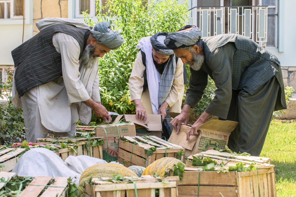 Farmers unpack their produce for Todd Darling to inspect.
