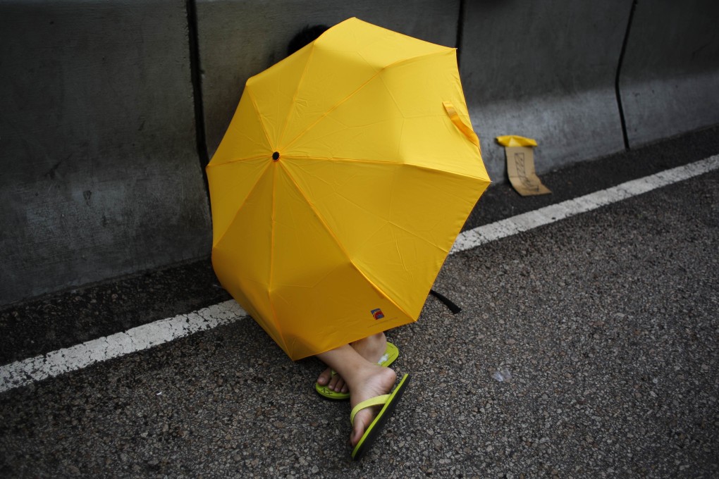 Across party boundaries, who has a brief for Hong Kong and its people? Who will work with the government to secure better outcomes for the people? Photo: Reuters