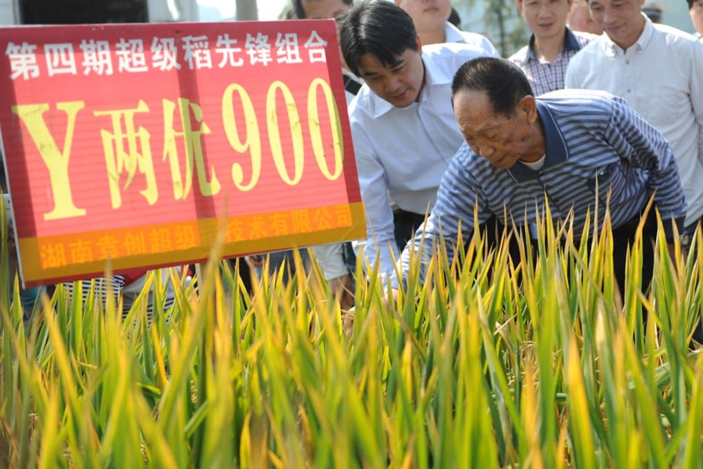 Yuan Longping, "the father of hybrid rice", has set a new world record for hybrid rice production. Photo: Xinhua