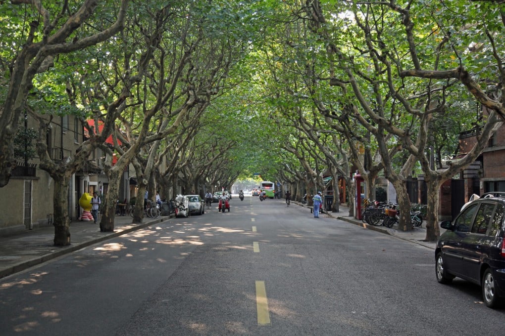 My 48 hours in Shanghai