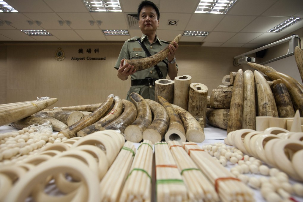 The Customs and Excise Department intercepted nearly 8 tonnes of undeclared ivory last year, worth more than HK$80 million. Photo: EPA