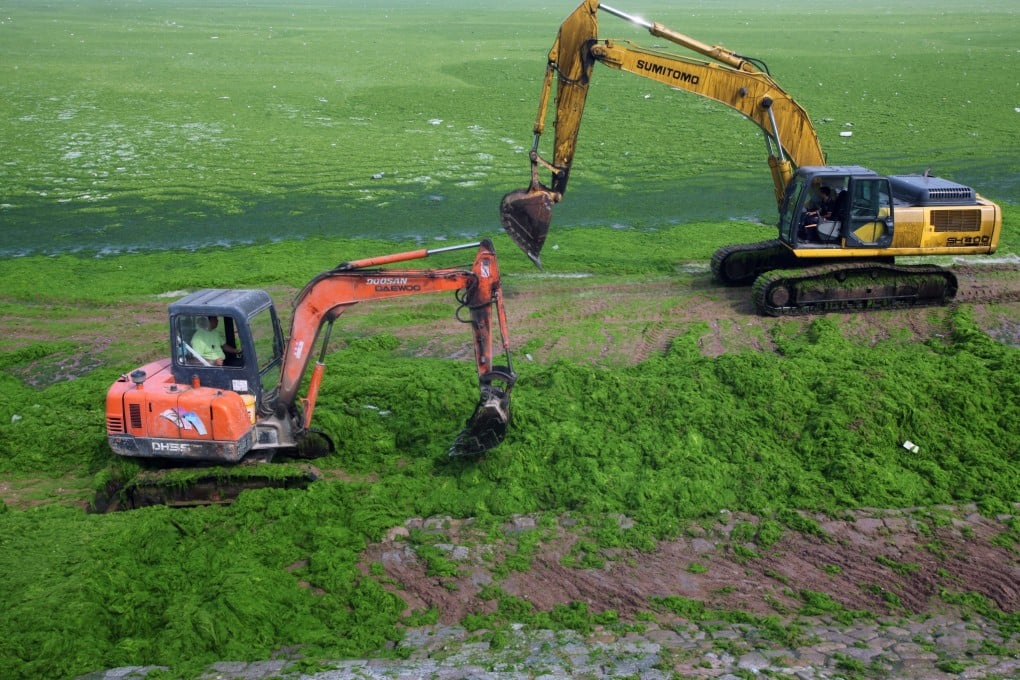 Lanxiang Vocational School's latest advertisement on its digging machine training course has gone viral on the Internet earlier this month. Photo: EPA