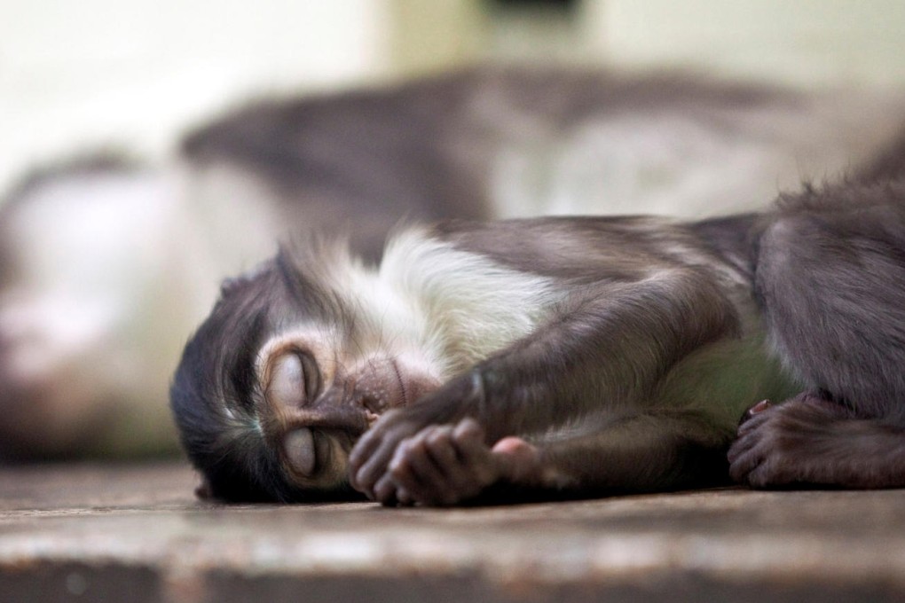 A well-balanced sleep regime is important. Photo: China Foto Press