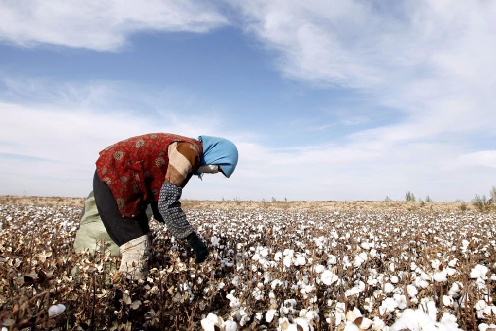 Public funds allocated to agriculture projects have become a "growth area" for corruption as China has invested heavily in rural regions over the past decade. Photo: EPA