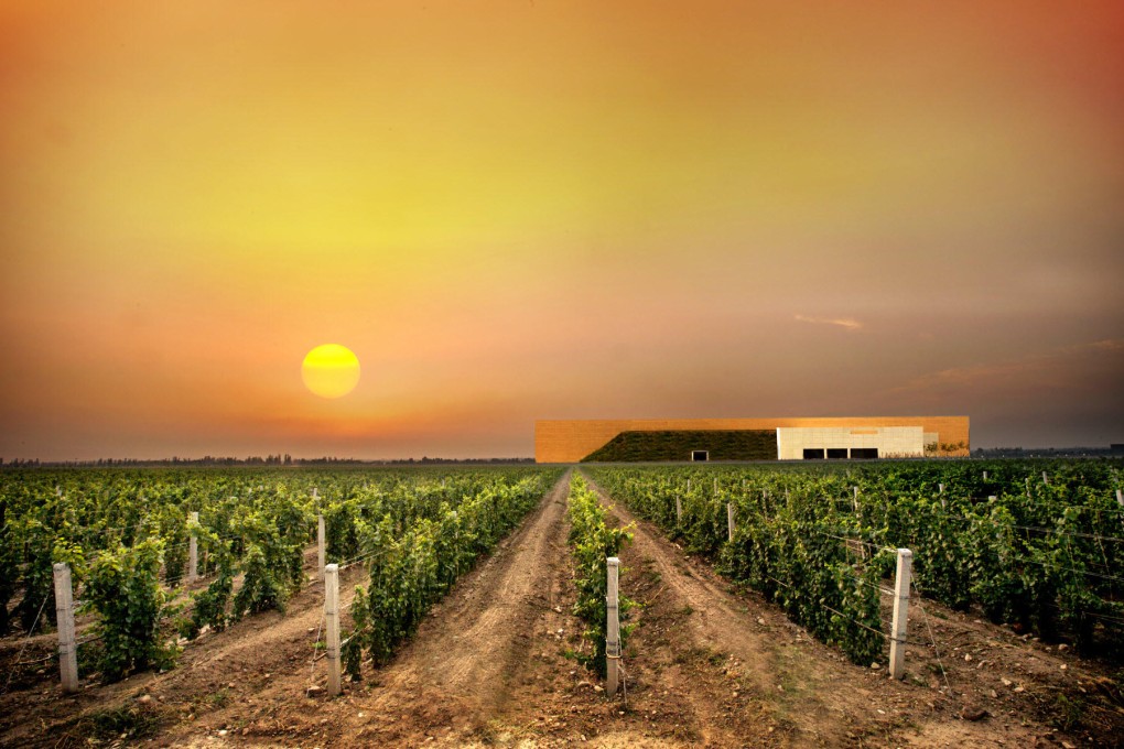 Moët Hennessy's Domaine Chandon winery in Ningxia Hui Autonomous Region.