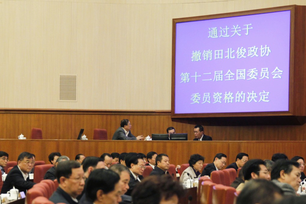 The Chinese People's Political Consultative Conference Standing Committee votes to remove James Tien. Photo: CNS