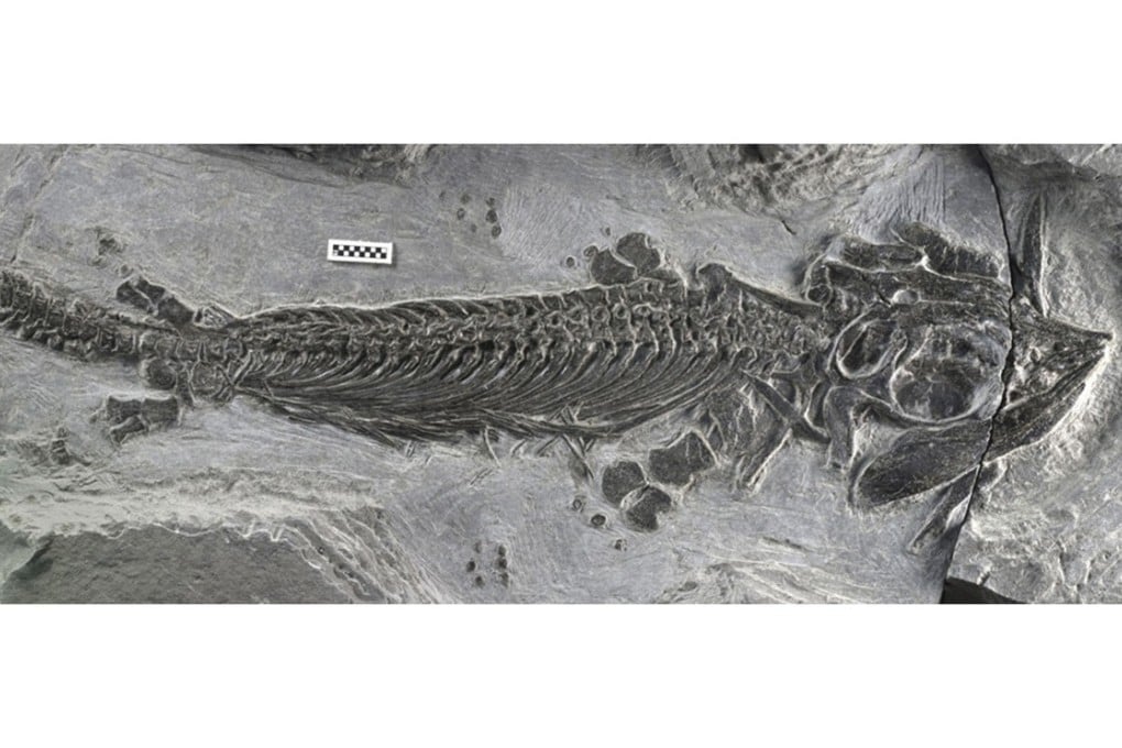The "survival of the fittest" concept is crucial to Darwin's theory of evolution. Photo: Reuters