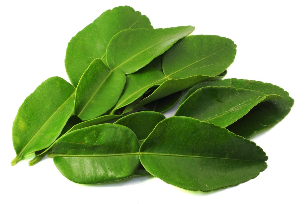 Lime leaves