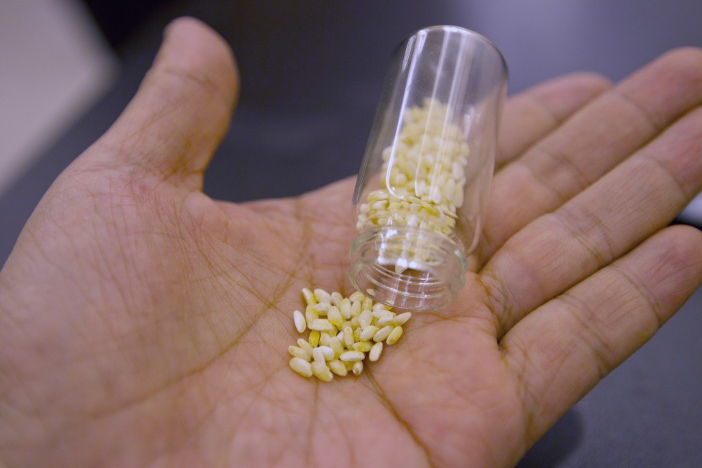 There is no scientific evidence that genetically modified organisms have any negative health effects. Photo: Simon Song