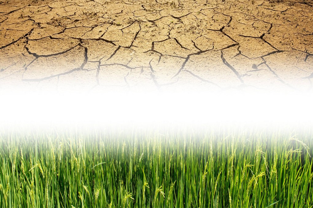 Helping poor farmers to grow more