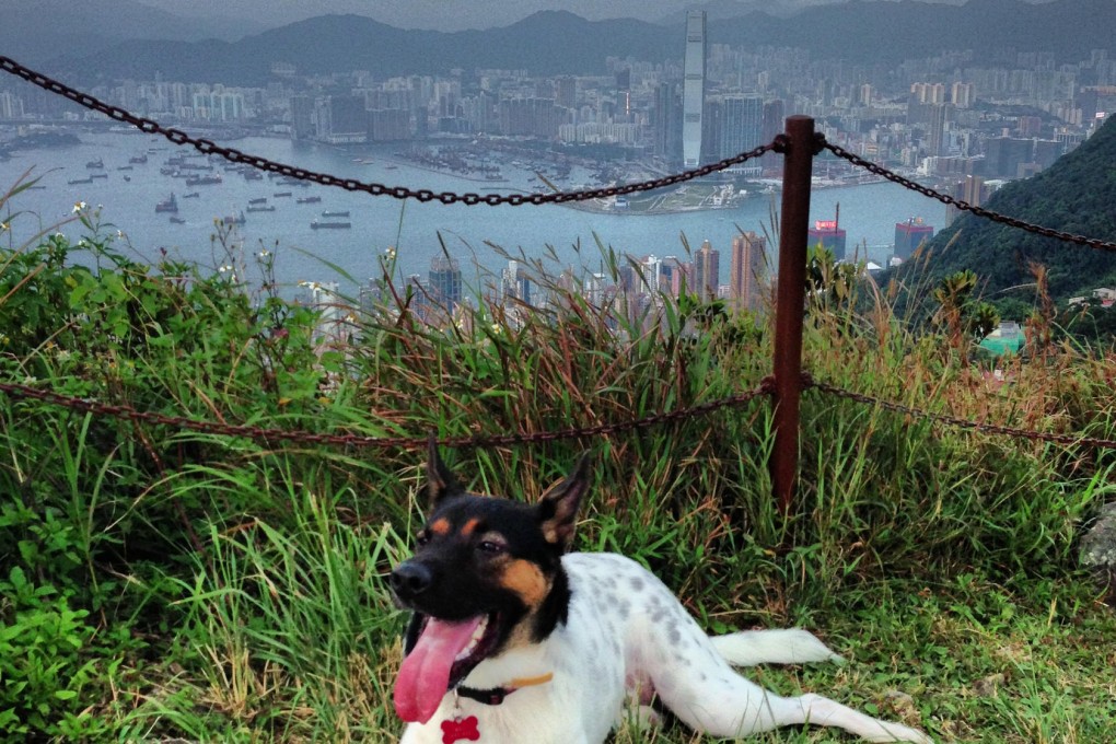 An insider's guide to local running neighbourhoods