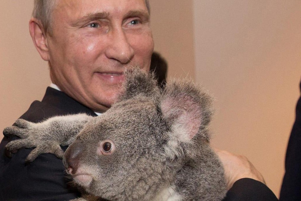Vladimir Putin cuddles a koala.