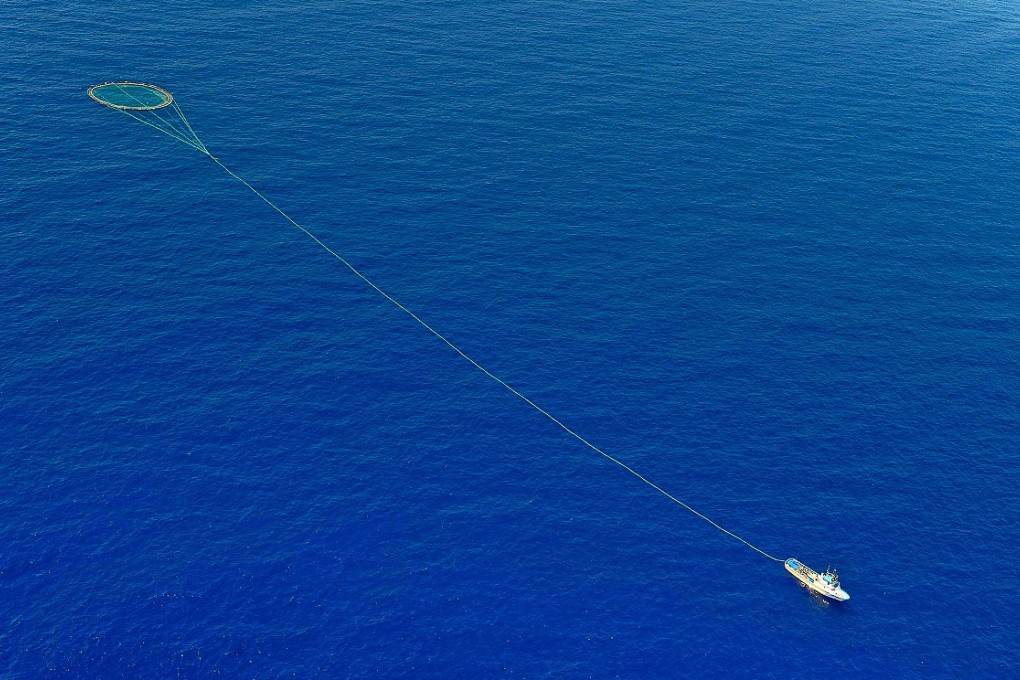 Fishing nations failed to back a ban on shark-finning, a practice fuelled by demand in Asia. Photo: AFP