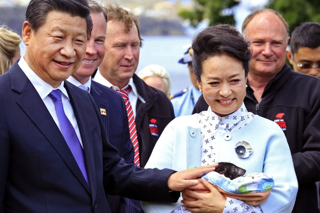 President Xi Jinping and First Lady Peng Liyuan get to grips with a Tasmanian devil on their trip to Australia's southernmost state. Photo: EPA