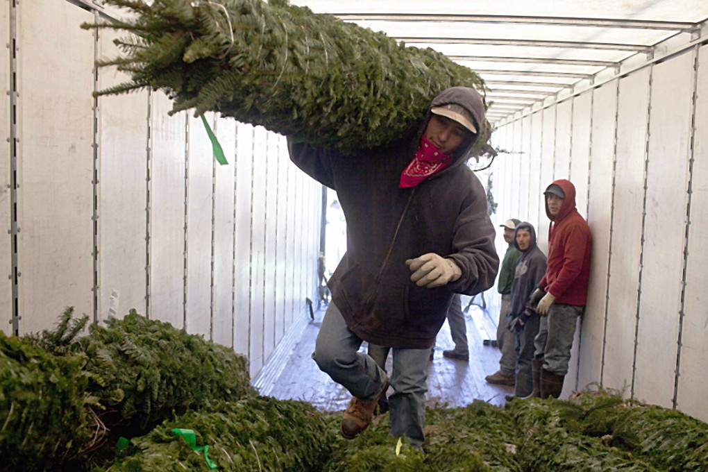 A labour dispute at a Seattle port is threatening to ruin Christmas for Hongkongers if it continues to delay the export of thousands of Christmas trees bound for the city. Photo: Reuters