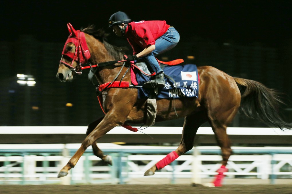 Hana's Goal in action at Sha Tin. Photo: Kenneth Chan