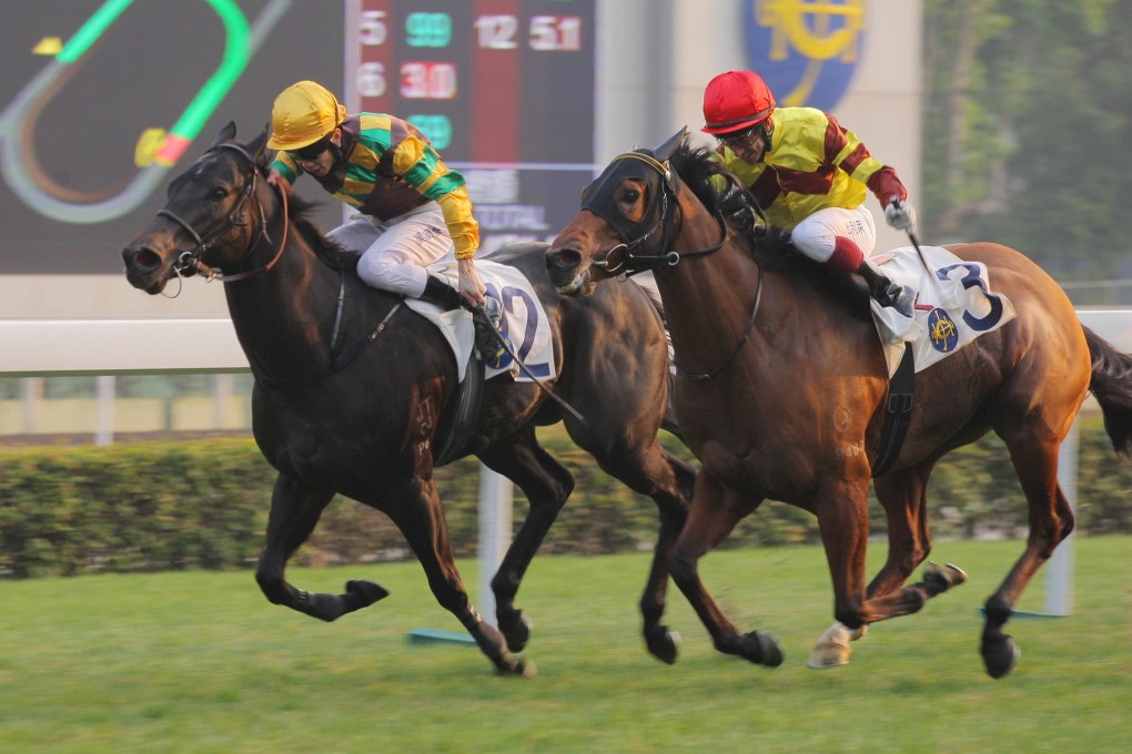 Richard Gibson-trained Winfull Patrol (No 12, ridden by Derek Leung Ka-chun) lands one of the biggest plunges seen this year, smashed from HK$210 to HK$51 and lighting up the Sha Tin betting board in the background. The brown lamp indicates a price drop of more than 50 per cent.