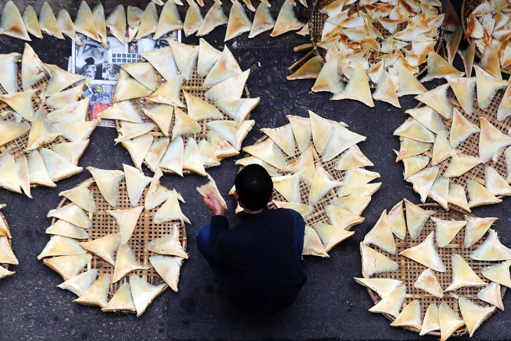 A worker dries the shark fins outside a seafood store in Hong Kong. Photo: Sam Tsang