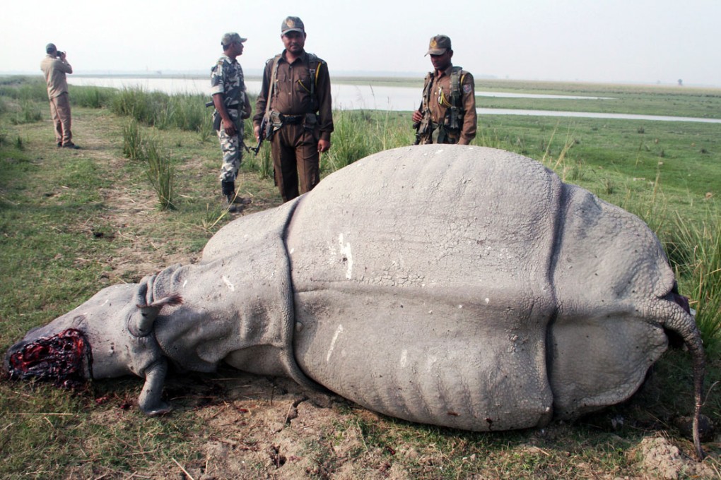 Forestry officials stand near a dead, one-horned Rhino which was killed by the poachers inside a wildlife sanctuary. Photo: EPA