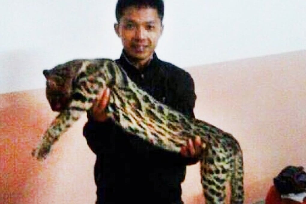 The photograph on Weibo, showing a mainland villager called Huang holding the dead animal, which he claimed had been only a normal domestic cat. Photo: Weibo