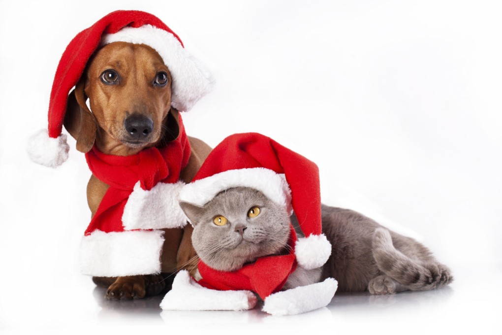 Getting into the spirit of things.
