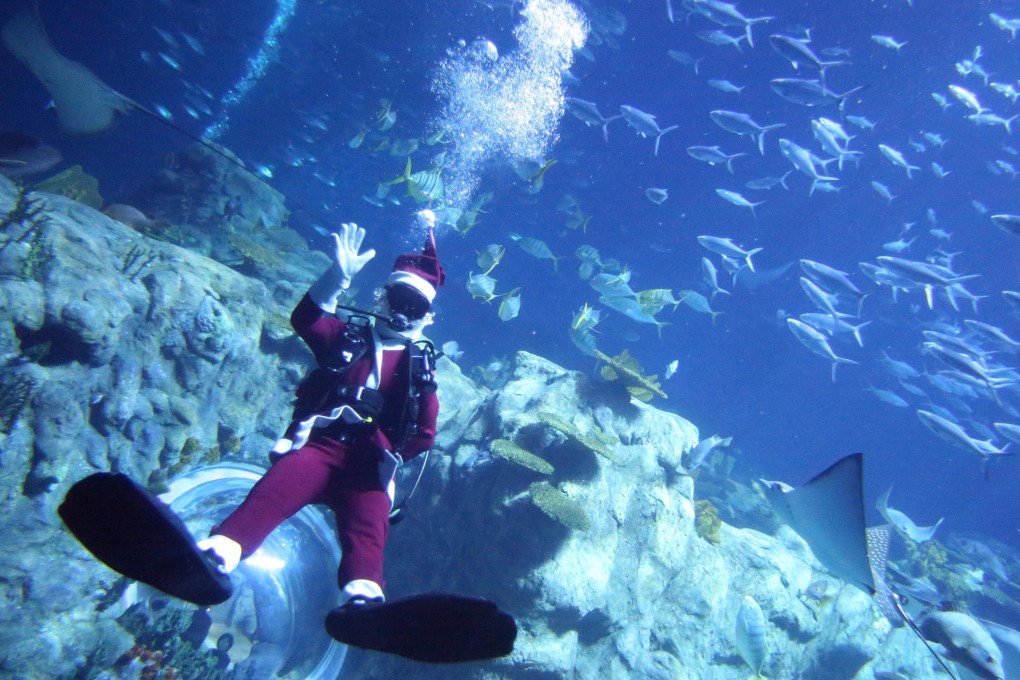 As well as appearing throughout Ocean Park this month, Santa Claus will be making regular dives into the Grand Aquarium to feed the fish. Photo: Nora Tam
