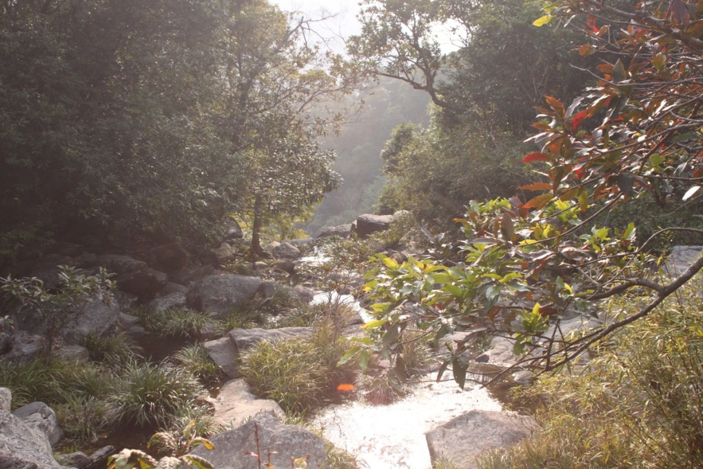 The Bride's Pool Nature Trail