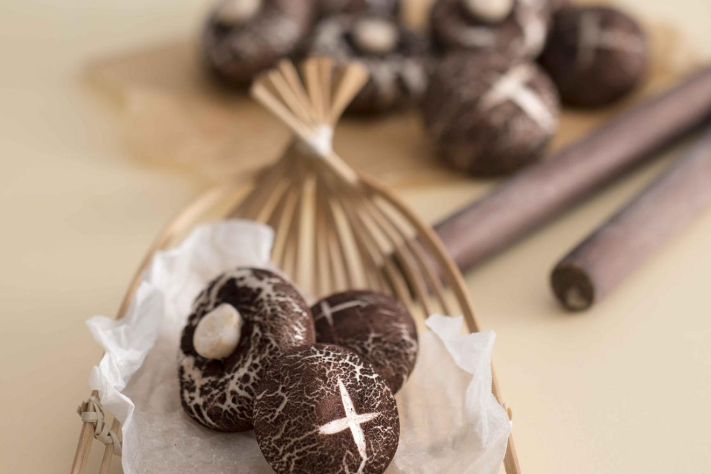 Truffle shiitake buns at Social Place.