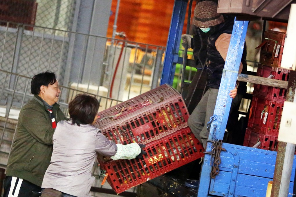 Workers unload cages of chickens at Cheung Sha Wan poultry wholesale market. Photo: Sam Tsang